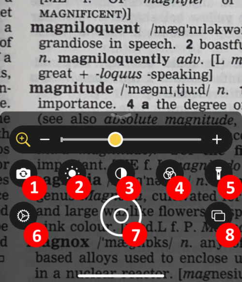 The magnifier's control window with annotations